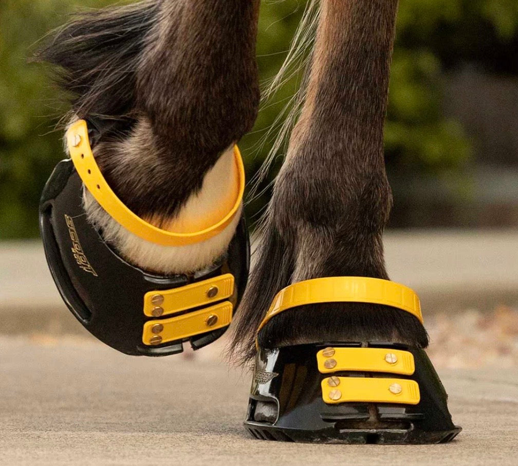Front Straps Standard
